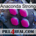 Anaconda Strong 02